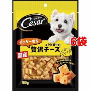 シーザースナック チェダー香るコクと香りの贅沢チーズ(100g*6コセット)[犬のおやつ・サプリメント]