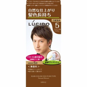 ルシード ワンプッシュケアカラー 5 ナチュラルブラウン(50g+50g)[白髪染め 男性用]