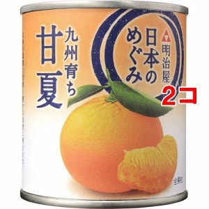 日本のめぐみ 九州育ち 甘夏(210g*2コセット)[フルーツ加工缶詰]