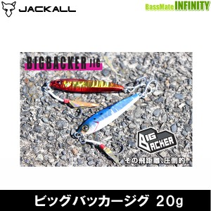 ●ジャッカル　ビッグバッカージグ 20g 【メール便配送可】