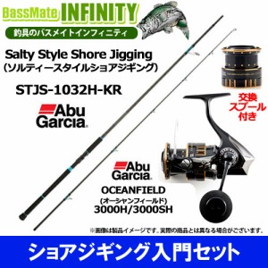 【ショアジギング入門セット】●Abu　ソルティースタイル STJS-1032H-KR＋オーシャンフィールド 3000H／3000SH