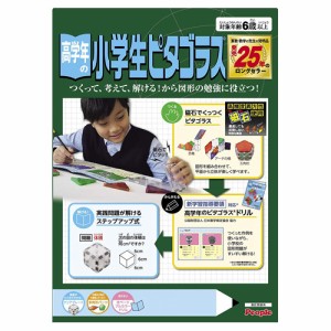 高学年の小学生ピタゴラス (2019年発売版) 【知育玩具 算数 図形 磁石 立体 展開図 パズル ピープル】