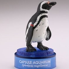 海洋堂　カプセルアクアリウム　マゼランペンギン