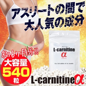 送料無料 L-carnitineα　L-カルニチンα　容量約6か月分　カテキン　L-カルニチン　コエンザイイムQ10配合！　ダイエットサプリ