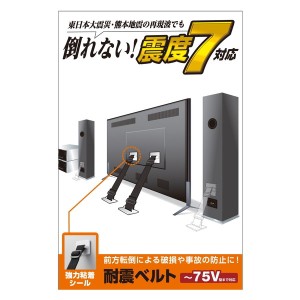 ELECOM TS-002N2 TV用耐震ベルト 〜75V用 強力粘着シールタイプ 2本入 メーカー直送