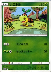 ポケモン ウルトラ サンムーンの通販 Au Pay マーケット 2ページ目