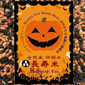 ハロウィーン 長寿米 100g （黒米 国産・赤米ミックス 国内産100％）長期保存包装済み（投函便・メール便 送料無料）