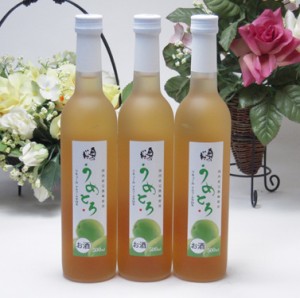 6本セット 完熟梅の味わいと日本酒のうまみをたっぷりの梅リキュール　うめとろ500ｍｌ×６本　13％奥の松酒造（福島県）