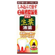 【第3類医薬品】生葉液薬 20g 小林製薬　歯茎の腫れ 歯茎のうみ 歯茎の痛み 歯茎のむずがゆさ 口臭 歯肉炎 歯槽膿漏