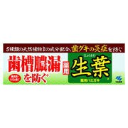 【小林製薬】薬用歯みがき 生葉 100g　歯周炎(歯槽膿漏) 歯肉炎 口臭 むし歯を防ぐ ハーブミントの香りでお口をさわやかに【t-6】