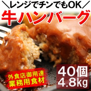 【送料無料】100％ビーフハンバーグプロ御用達業務用食材!!レンジ調理ＯＫ 4.8kg(120g×20個入×2袋)/沖縄離島配送不可