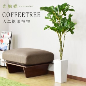 観葉植物 光触媒 フェイクグリーン 造花 人工観葉植物 陶器鉢 インテリア お祝い ギフト コーヒーツリー インテリア家具 おすすめ おしゃ