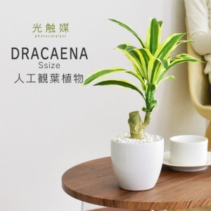 観葉植物 光触媒 フェイクグリーン 造花 人工観葉植物 陶器鉢 インテリア お祝い ギフト ドラセナ S インテリア家具 おすすめ おしゃれ 