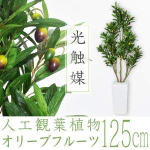 観葉植物 光触媒 フェイクグリーン 造花 125cm 人工観葉植物 陶器鉢 インテリア お祝い ギフト オリーブフルーツ インテリア家具 おすす