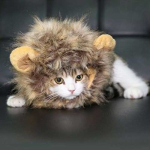 ハロウィン コスプレ 猫・子犬用 ライオンのたてがみ ドレスアップ帽子 5A2AM