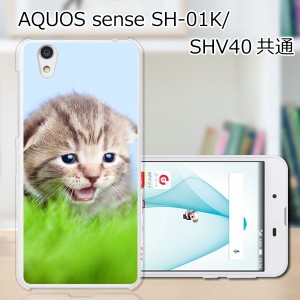 AQUOS sense SHV40 SH-01K basic702SH liteSH-M05 TPU/カバー 【見つけたニャン TPUソフトカバー】 スマートフォンカバー・ジャケット