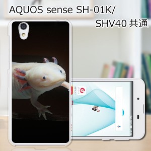AQUOS sense SHV40 SH-01K basic 702SH Android One S3 lite SH-M05 共通 ハードケース/カバー 【ウーパールーパー PCクリアハードカバー