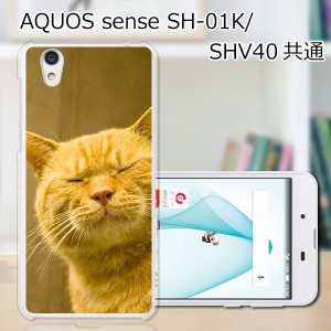 AQUOS sense SHV40 SH-01K basic 702SH Android One S3 lite SH-M05 共通 ハードケース/カバー 【吾輩は猫である名前はまだニャい PCクリ