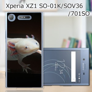 Xperia XZ1 SOV36 SO-01K 701SO ハードケース カバー スマホケース 【ウーパールーパー PCクリアハードカバー】 スマートフォンカバー・