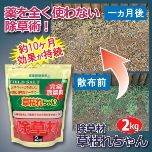 除草 散布 ガーデニング 除草剤 「草枯れちゃん」 2kg 庭 草 雑草 無農薬