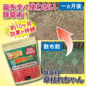 除草剤 散布 ガーデニング 除草剤 「草枯れちゃん」 1kg 雑草 無農薬 草