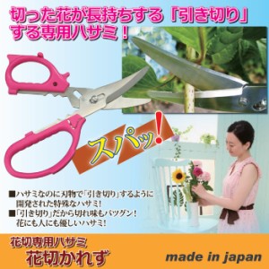 ハサミ 花切専用ハサミ 花切かれず ガーデニング 花 生け花 ガーデニング雑貨 園芸 剪定ばさみ