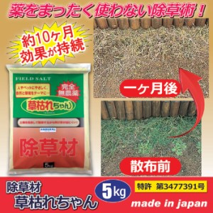 除草剤 除草材 草枯れちゃん 5kg 無農薬 除草 ペット 安全 庭 ガーデニング