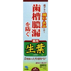 薬用歯みがき 生葉 100g［配送区分:A］