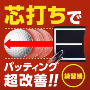 送料無料 パット 練習 ゴルフの神髄 紹介 キューブトレーナー JP-5020-TR スクエア 四角 芯 golf5