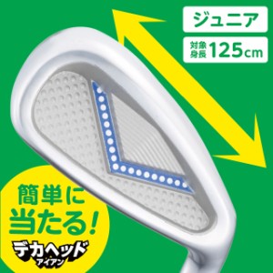 イグニオ(IGNIO) デカヘッド アイアン 125 7I カーボンシャフト ジュニア(キッズ・子供) ゴルフ golf5