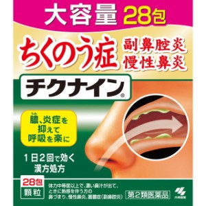 【第2類医薬品】小林製薬チクナイン28包