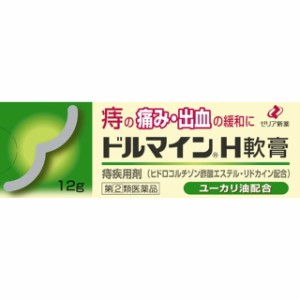 【指定第2類医薬品】ドルマインH軟膏 12g