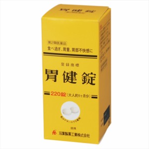 【第2類医薬品】龍角散 胃健錠 220錠