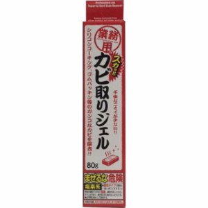 業務用スカッとカビ取りジェル バス用洗剤 80g