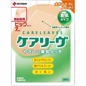 ニチバンケアリーヴ ビッグサイズ7枚【2個セット】