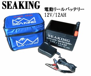 SEAKING(シーキング)　バッテリー　12V/12AH　充電器付き