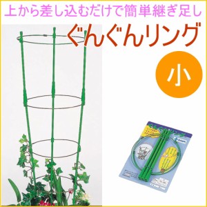 ぐんぐんリング 小 2セット入り 園芸 ガーデニング 家庭菜園 観葉植物 支柱 土 野菜 栽培 簡単 便利 鉢 竹