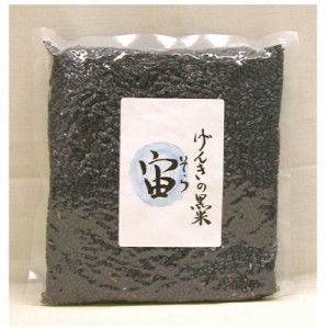 げんきの黒米 宙(そら) 500g [本物研究所] 【食品】