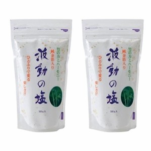 【本物研究所】 波動の塩 [450g] ×2コセット