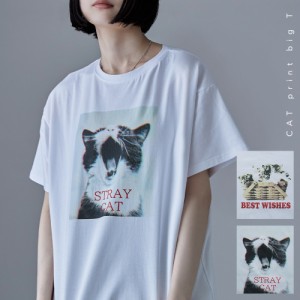 猫プリントビッグTシャツ トップス Tシャツ カットソー 半袖 綿混 プリント 猫 ねこ