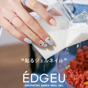 韓国ブランドEDGEU エッジユー 自分でできるネイルシール ジェルネイル キット カラージェル セルフネイル ハンドネイル マルチカラー