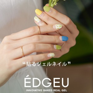 韓国ブランドEDGEU エッジユー 自分でできるネイルシール ジェルネイル キット カラージェル セルフネイル ハンドネイル マルチカラー