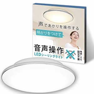 アイリスオーヤマ LEDシーリングライト 8畳 調光 調色 5.11 音声操作 モールフレーム リモコン付き CL8DL-5.11MV