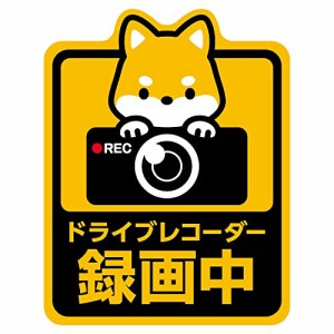 車用マグネット ドラレコ録画中 ドッグ・キャット かわいい カーマグネット カーアクセサリー ドライブレコーダー録画中 磁石 ぺたっ!と 