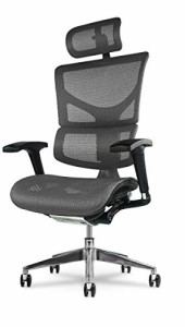 X-Chair オフィスチェア (グレー・ヘッドレストあり) デスクチェア パソコンチェア [事務所/オフィス/会社/リモートワーク] 疲れにくい 