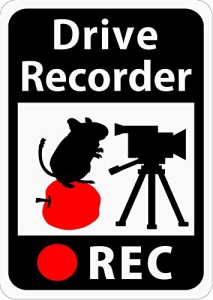 ドライブレコーダー搭載ステッカー「りんごの上のデグーとビデオカメラ」 (マグネット) s44