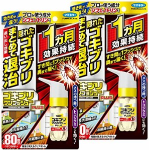 【まとめ買い】 ゴキブリワンプッシュ プロ プラス 駆除 殺虫剤 スプレー 約80回分 × 2個 [医薬部外品]