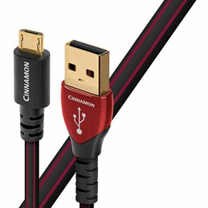 オーディオクエスト USBケーブル USB2/CIN/1.5M/MIC