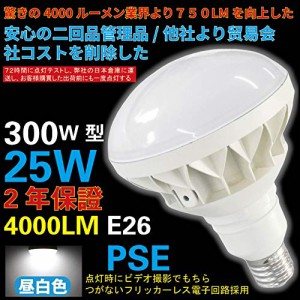 【驚きの4000ルーメン】業界トップクラス 300W型25Wで4000lmの明るさ LED屋外用 投光形電球　PAR38　E26　昼白色5000K（フリッカーフリー