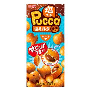 明治 プッカ塩ミルク 39g×10個